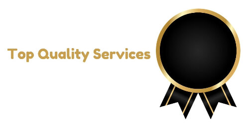 Top quality editing help